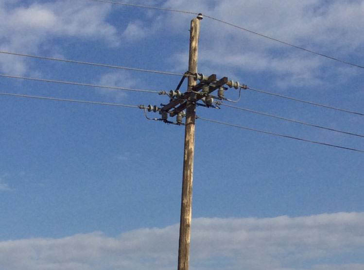 distribution poles