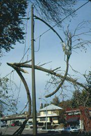 October '97 snowstorm