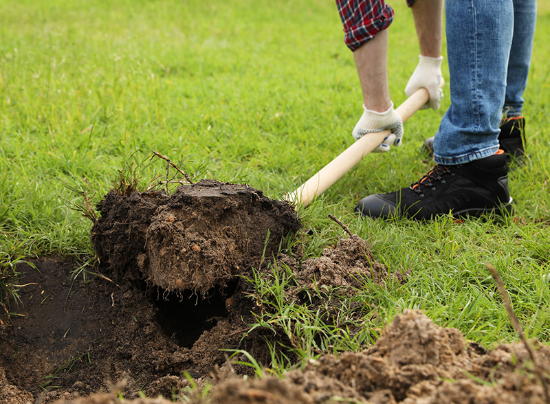 Worker digging soil with shovel outdoors, closeup