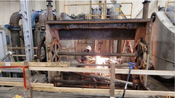 GEN_NCS Fish Filter 2026 5