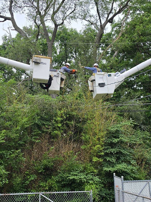 T&D_Mutual Aid Illinois 2026 2