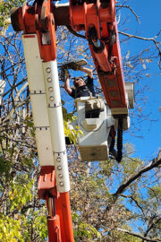 Zach Aus stands in an elevated bucket truck bucket to repair a streetlight.